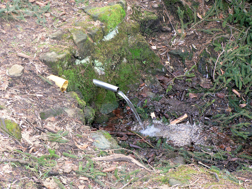 studánka Vranička (5332)