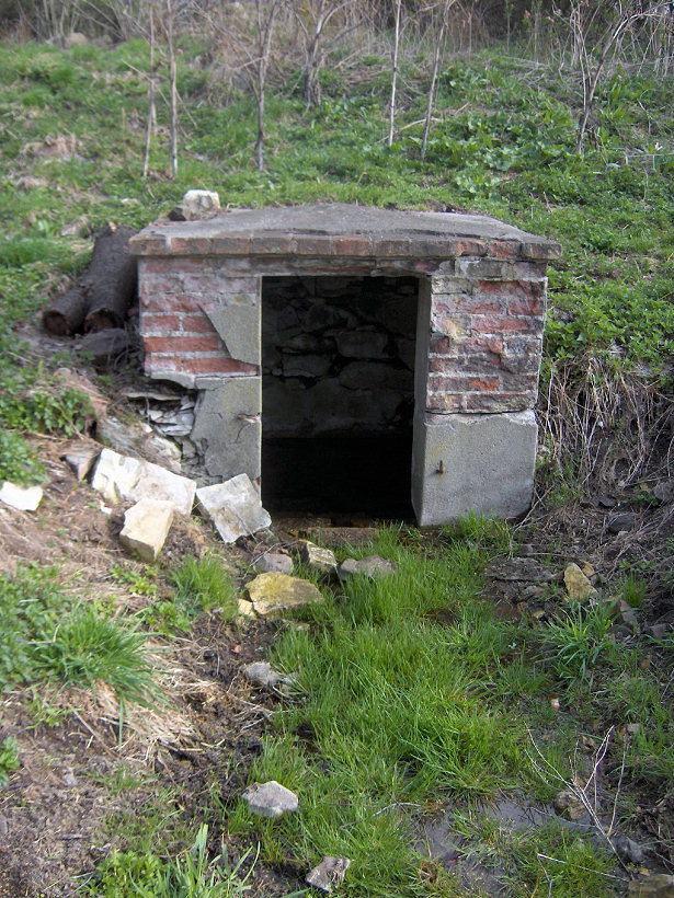 Svatovítská studánka (5343)