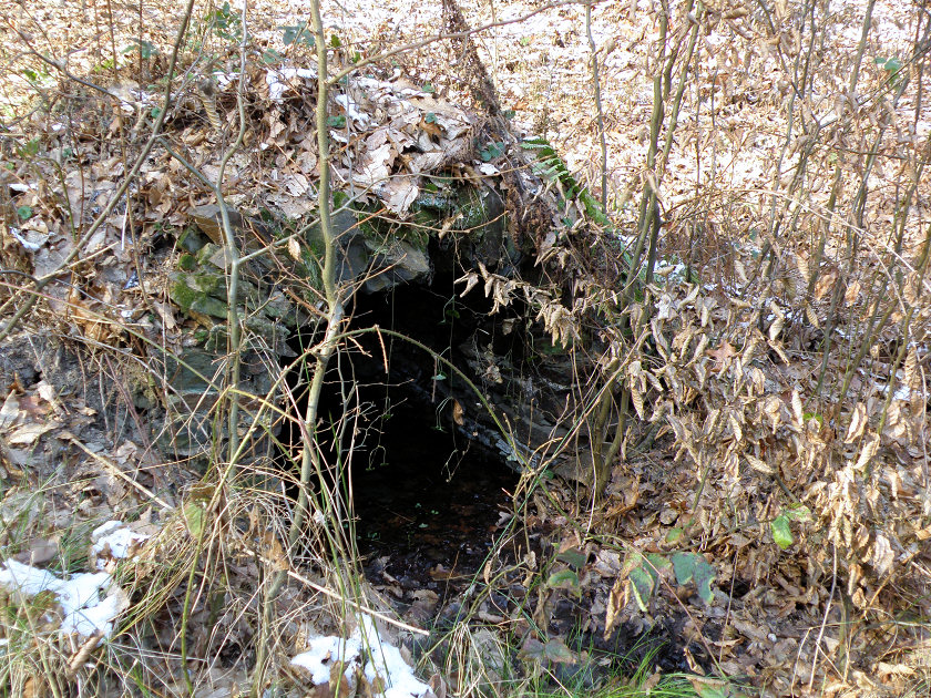 studánka Pod Bořínem (5346)