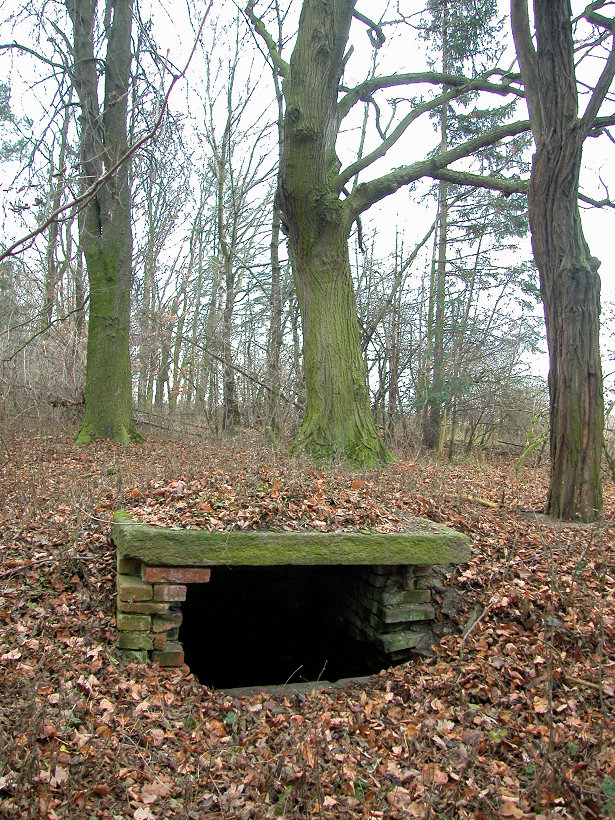 studánka bez jména (5350)