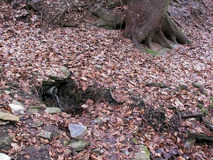 studánka bez jména (5353)