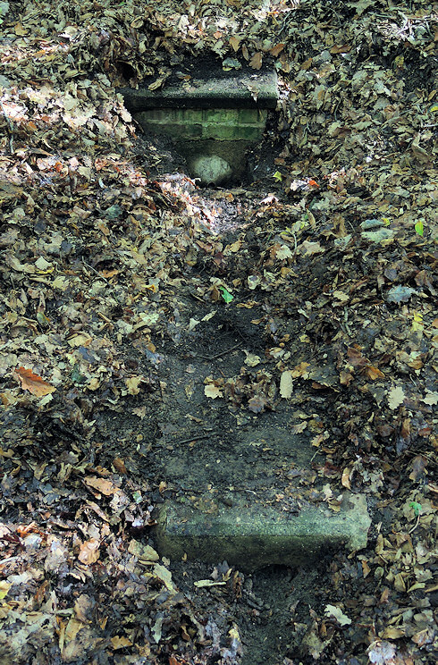studánka Habrovka (5357)