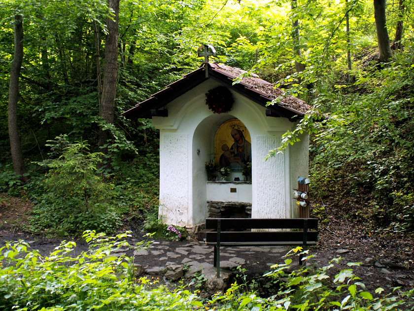 studánka Ve Žlábku (5360)