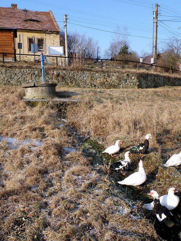studna bez jména (5365)