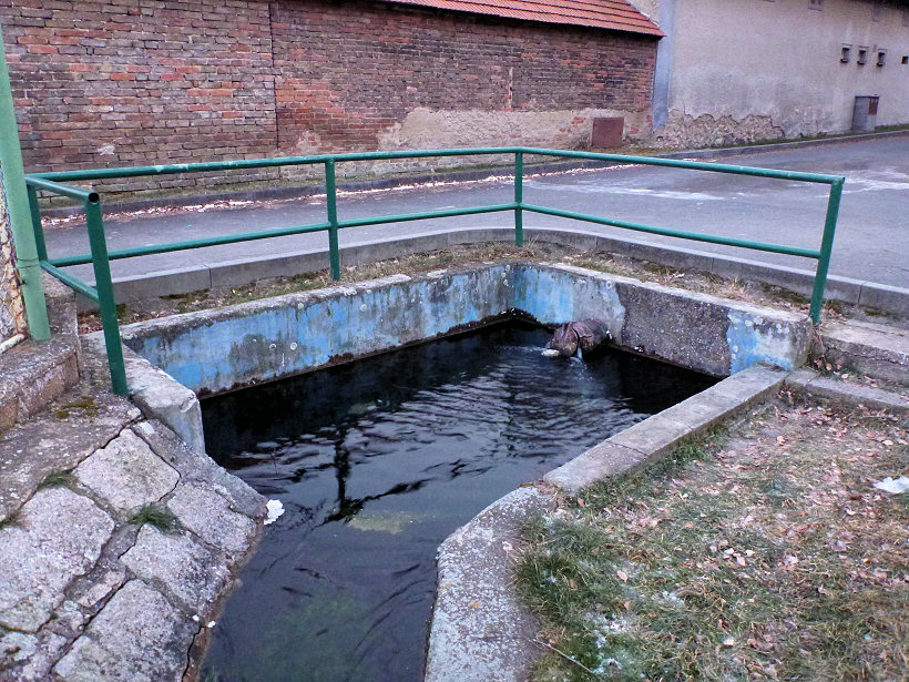 pramen Mlíčnice (5374)
