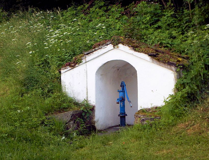 pramen Pod Třešňovkou (5382)