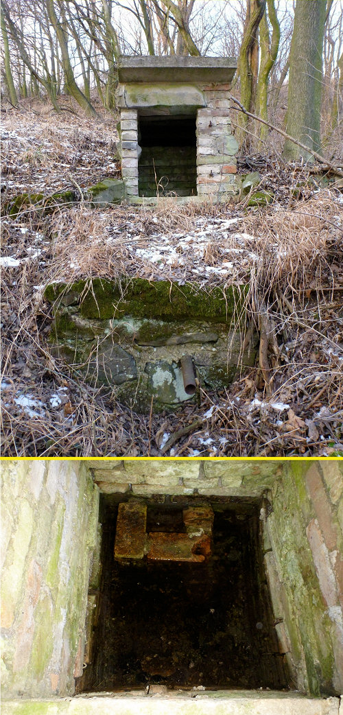 studánka Pod Plešivcem (5384)