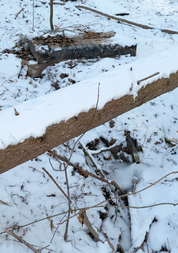studánka bez jména (5402)