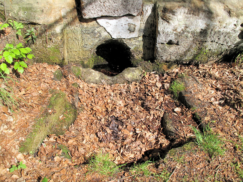 studánka bez jména (5405)