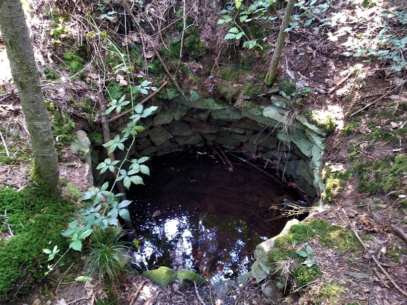 Ovčí studánka (5432)