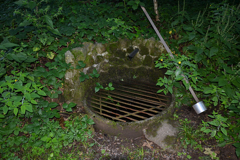 studánka bez jména (5447)