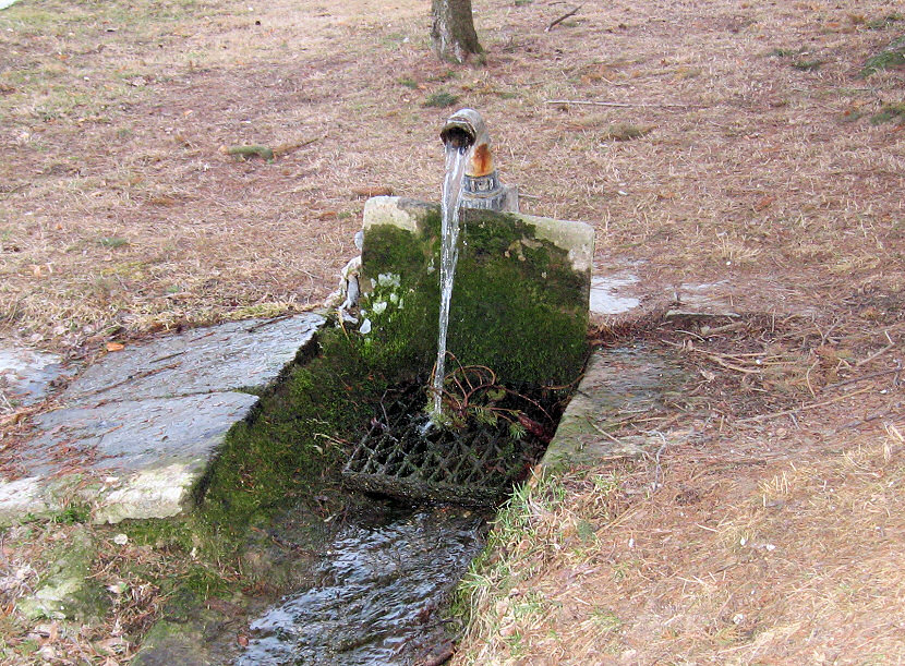 studánka bez jména (5456)