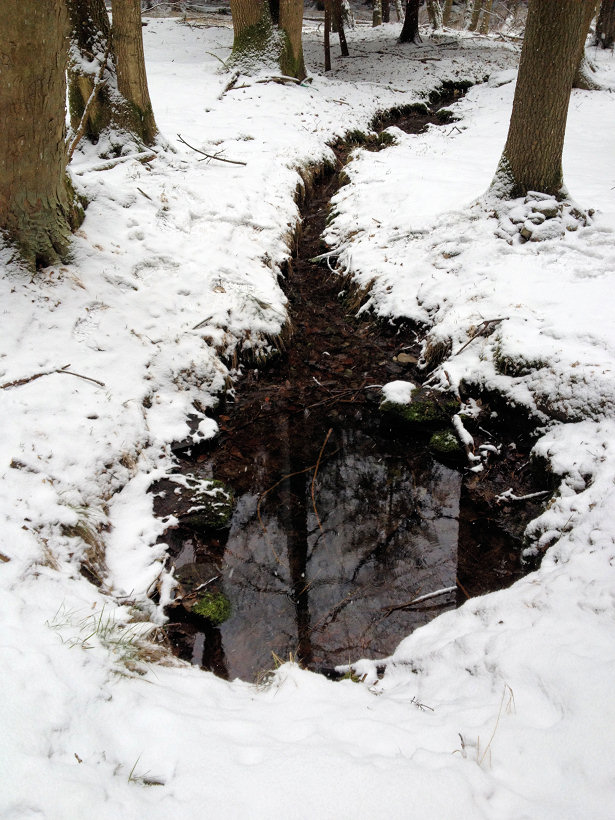 studánka Pod Černým vrchem (5463)