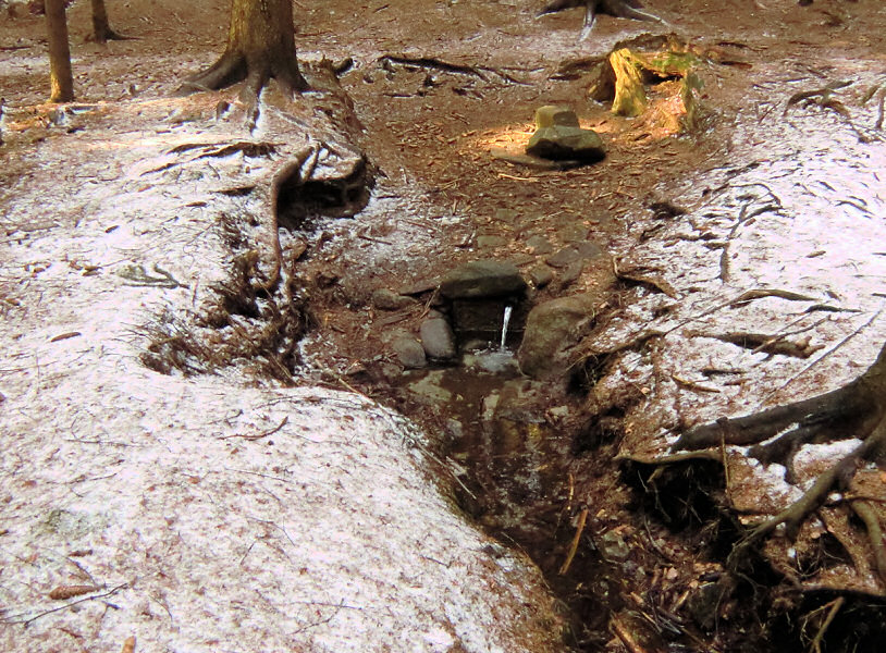 studánka Pod Černým rybníkem (5465)