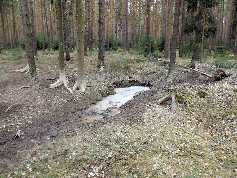 prameniště Močidla (5467)