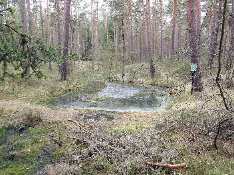 prameniště Tatinská Slatina (5470)
