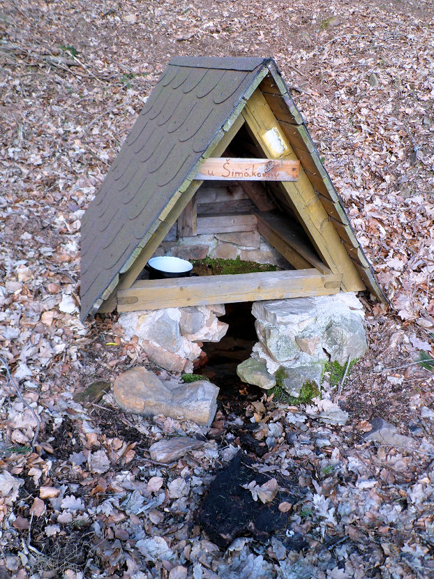 studánka U Šimákovny (5477)