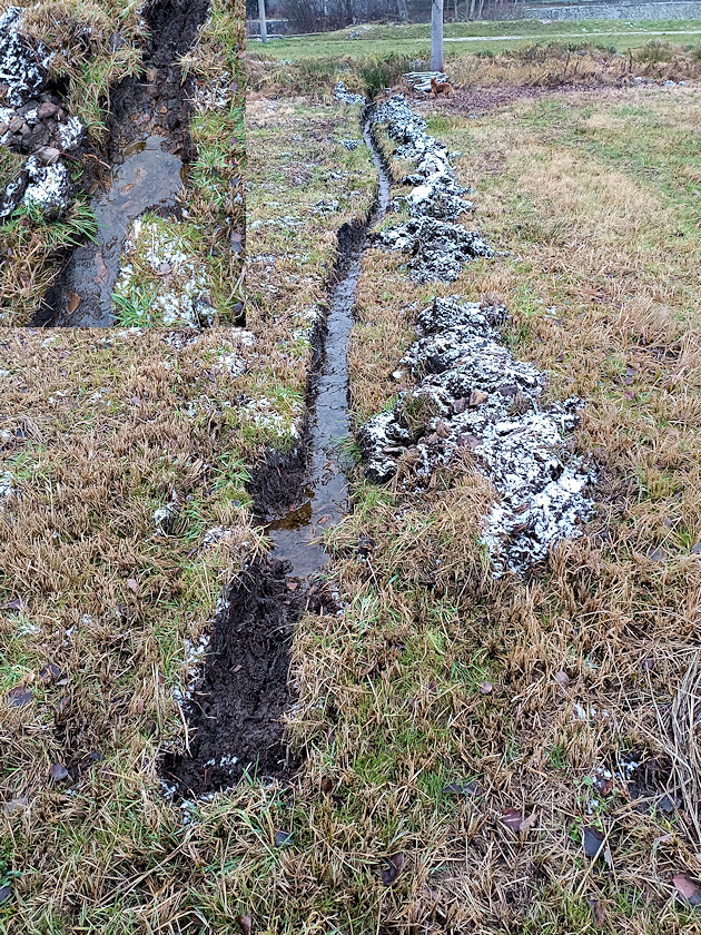 studánka U viaduktu Jince (5478)