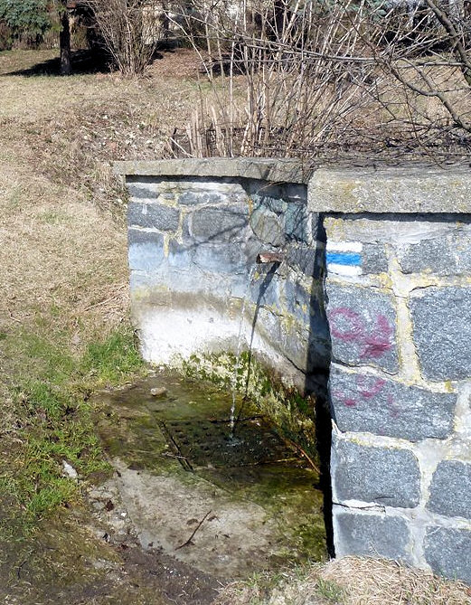 studánka Pod kostelem (5484)