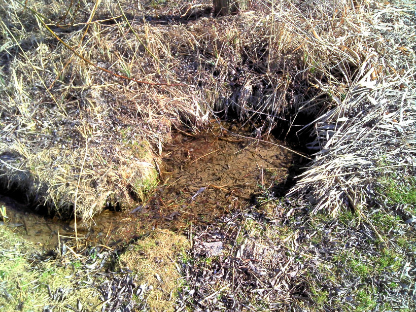 studánka Ratajská (5495)