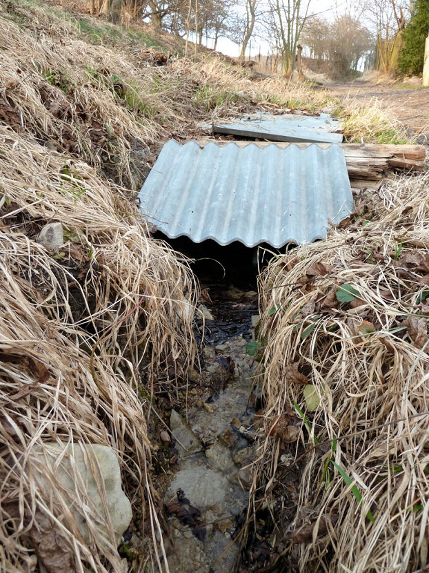 studánka bez jména (5498)