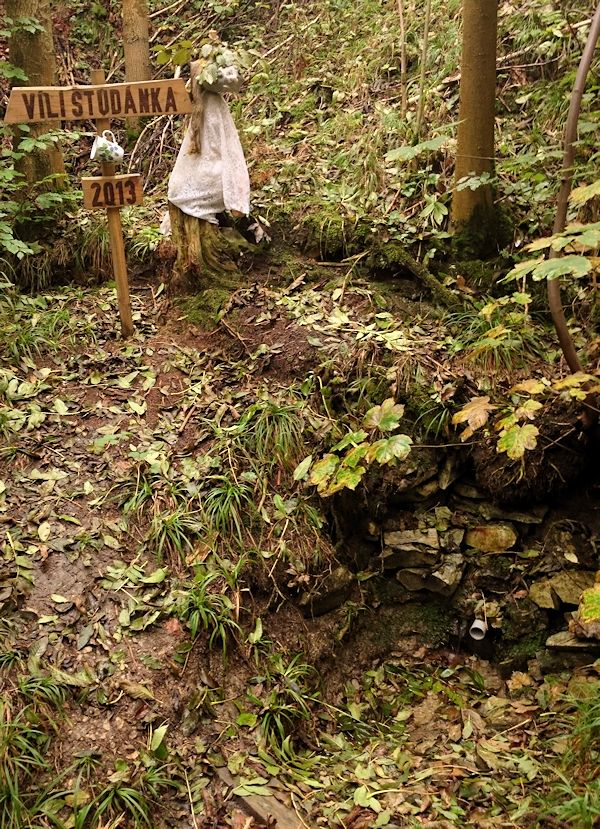 Vílí studánka (5499)