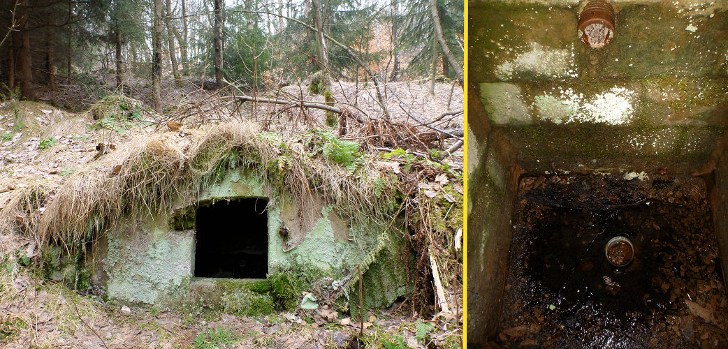 studánka Nad křižovatkou (5509)
