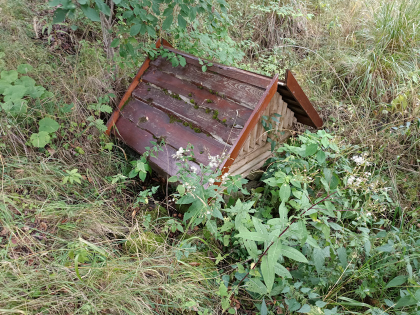 studánka bez jména (5512)