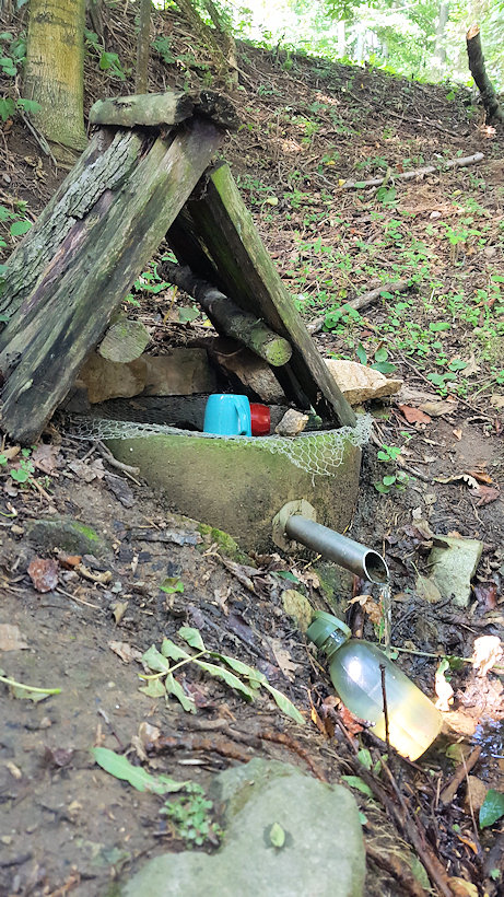 studánka V Lavce (5517)
