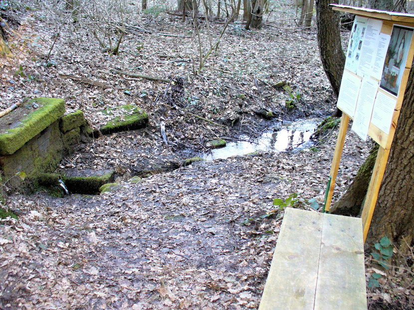 Studánka Pod Zavrchy (5521)