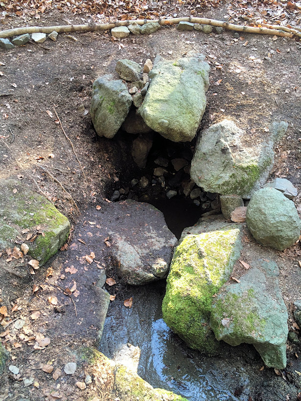 studánka bez jména (5526)