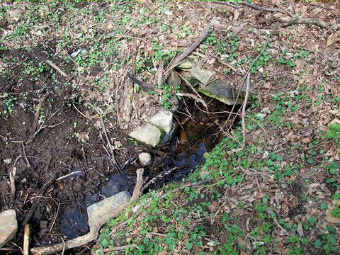 studánka bez jména (5531)