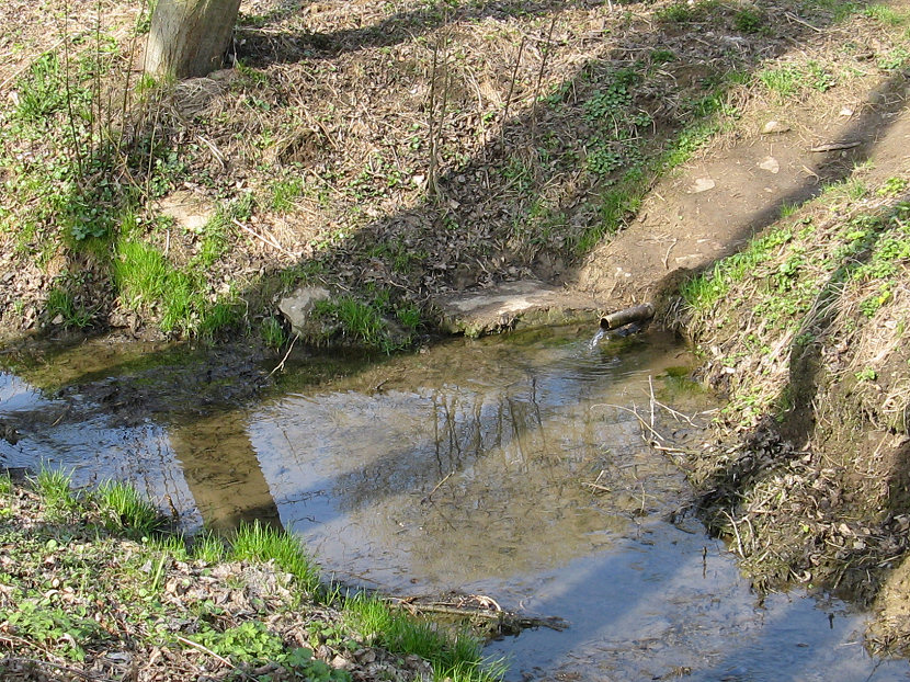 studánka bez jména (5537)