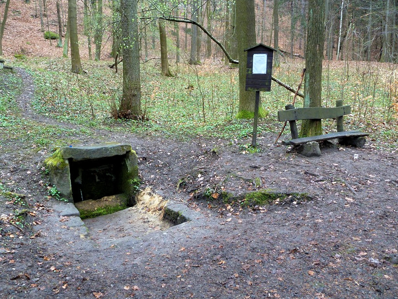 studánka Pod Valdštejnem (5545)
