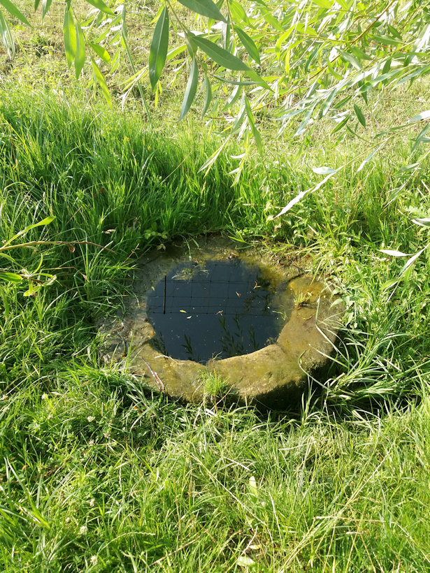 studánka U Tachova (5551)