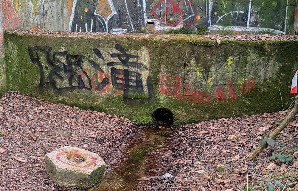 jiný vodní zdroj U hrobů 2 (5553)