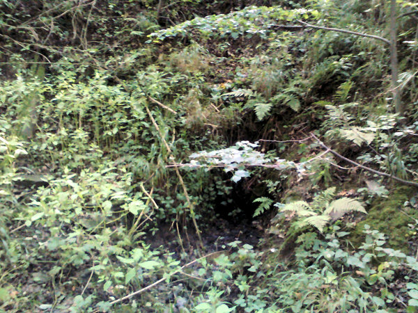 Mordovánská studánka (5554)