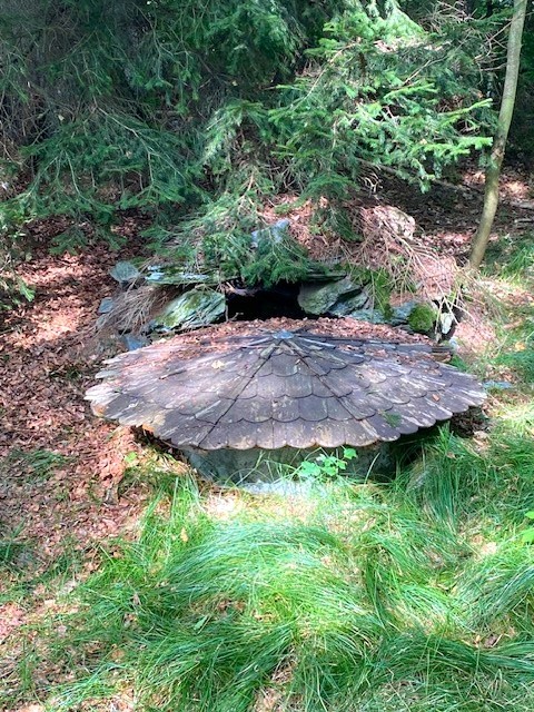 studánka V Jalovčí (5557)