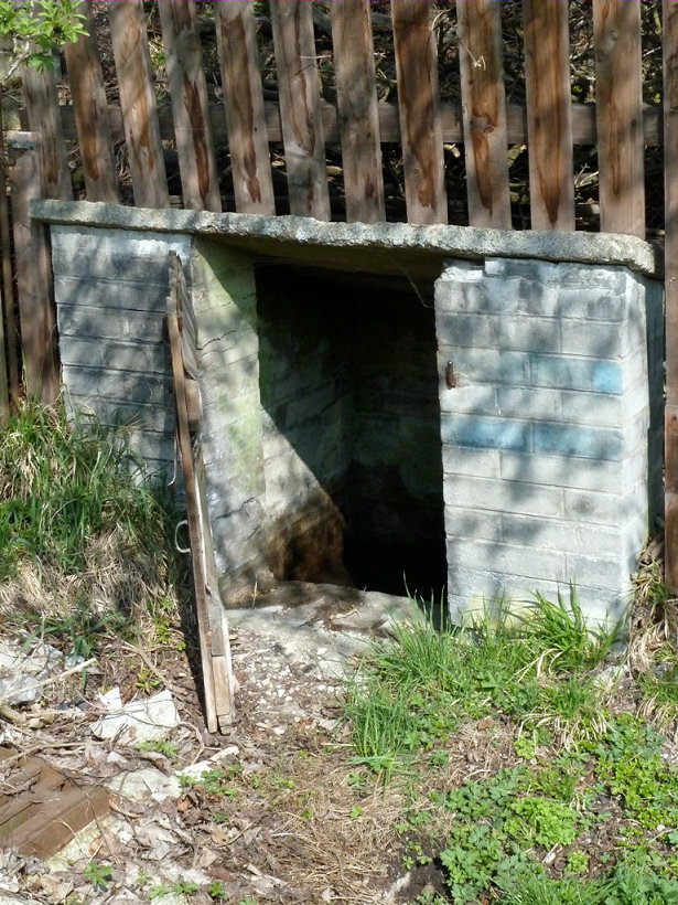 studánka bez jména (5558)