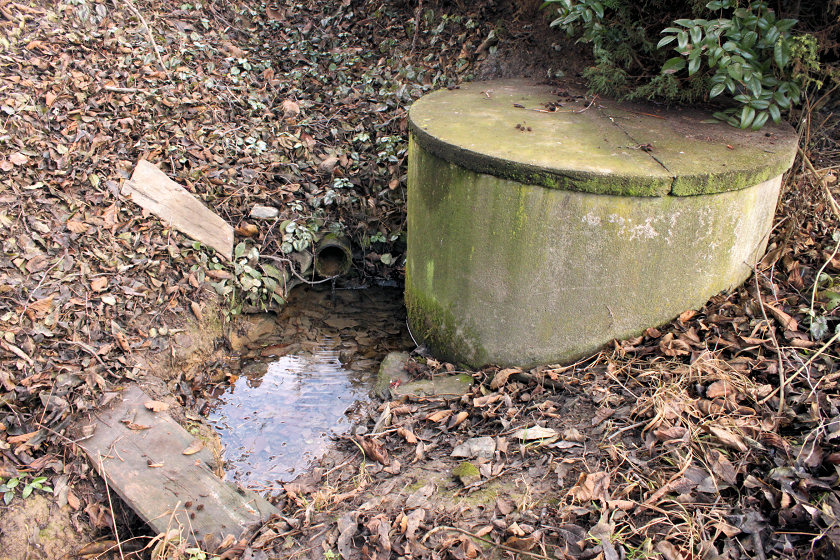 studánka bez jména (5563)