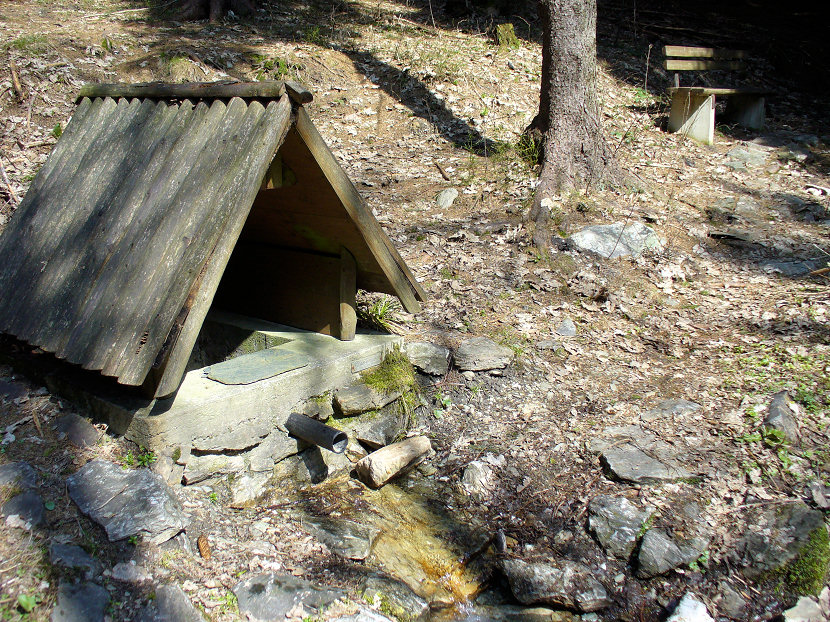 studánka Frantina (5569)