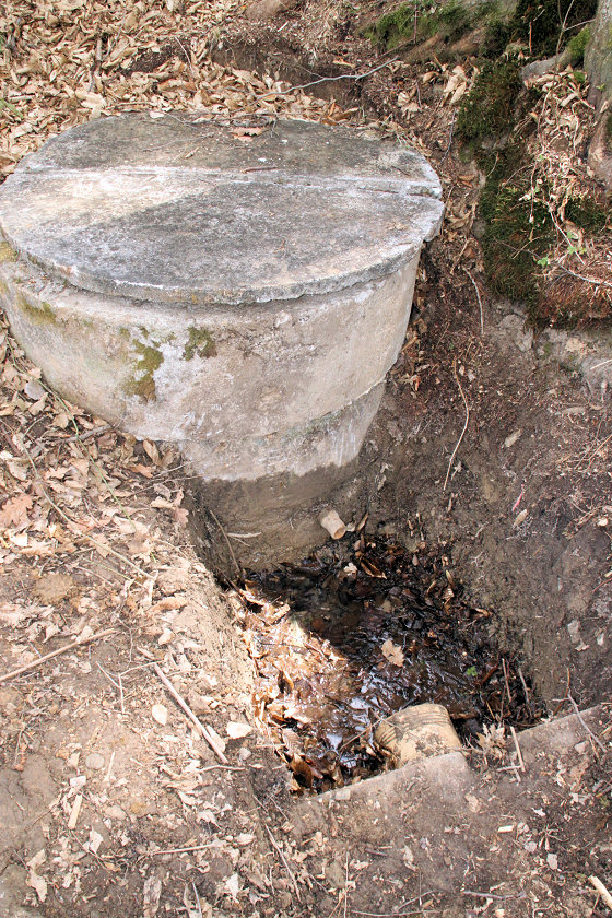 studánka U habra (5579)