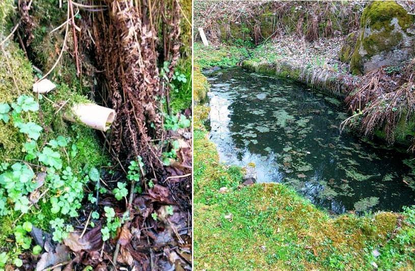 studánka bez jména (5581)