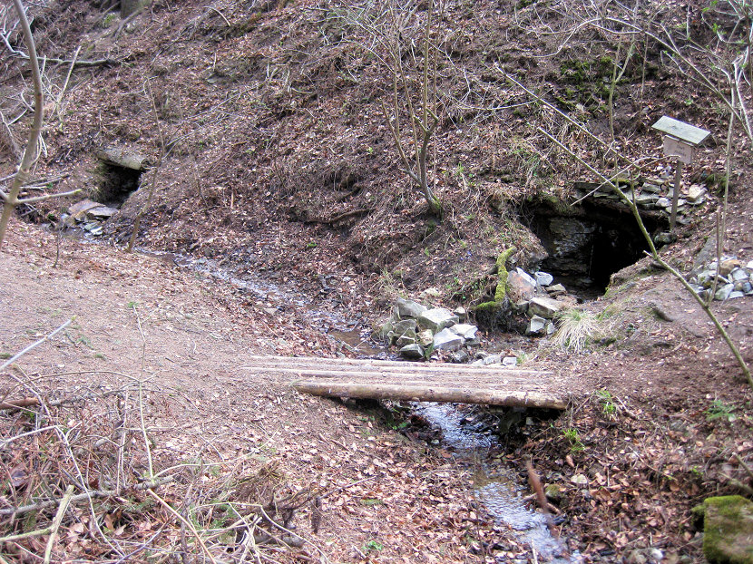 Dračí studánka  (5587)