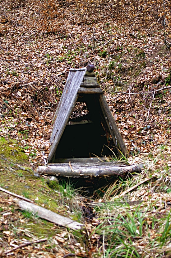 studánka Tatarka (5589)