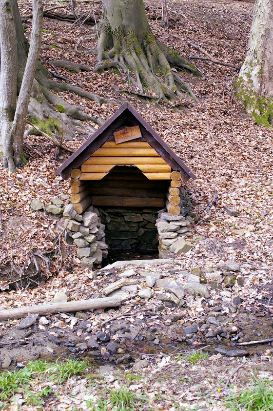studánka Kuželův vesník (5591)