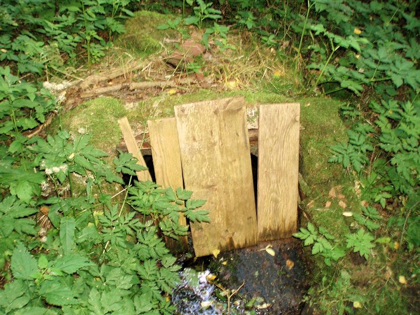 studánka U potoka (5592)