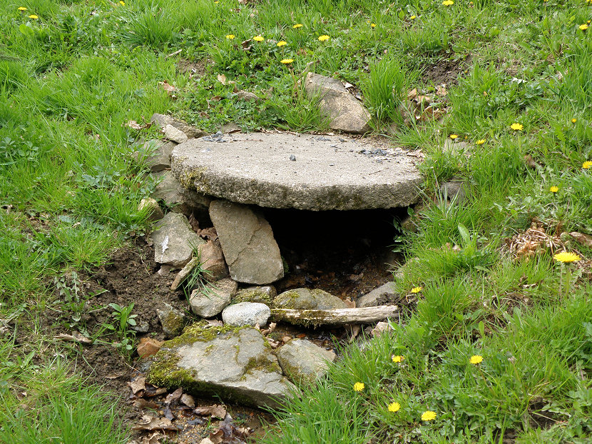 Studánka Karolína (5593)