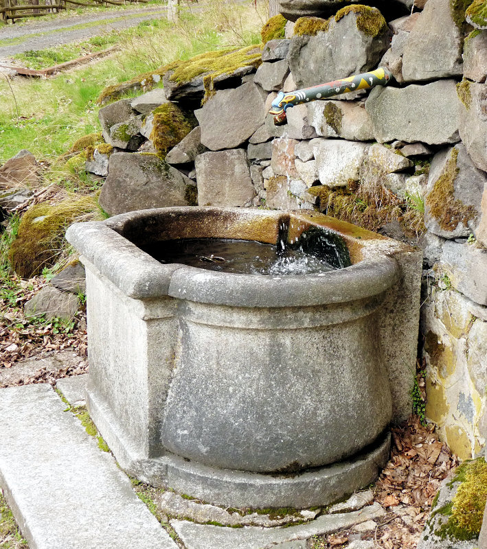studánka Pod skalkami skřítků (5594)