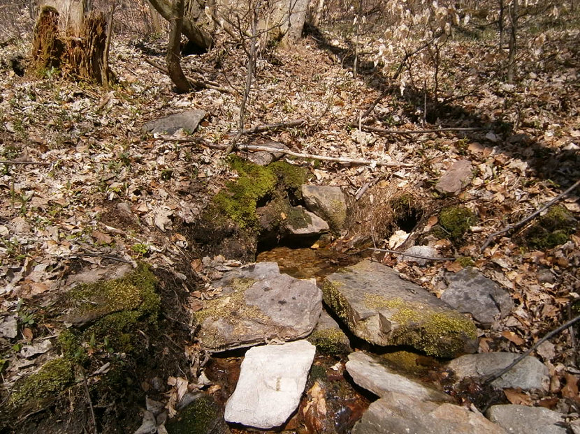 pramen bez jména (5600)